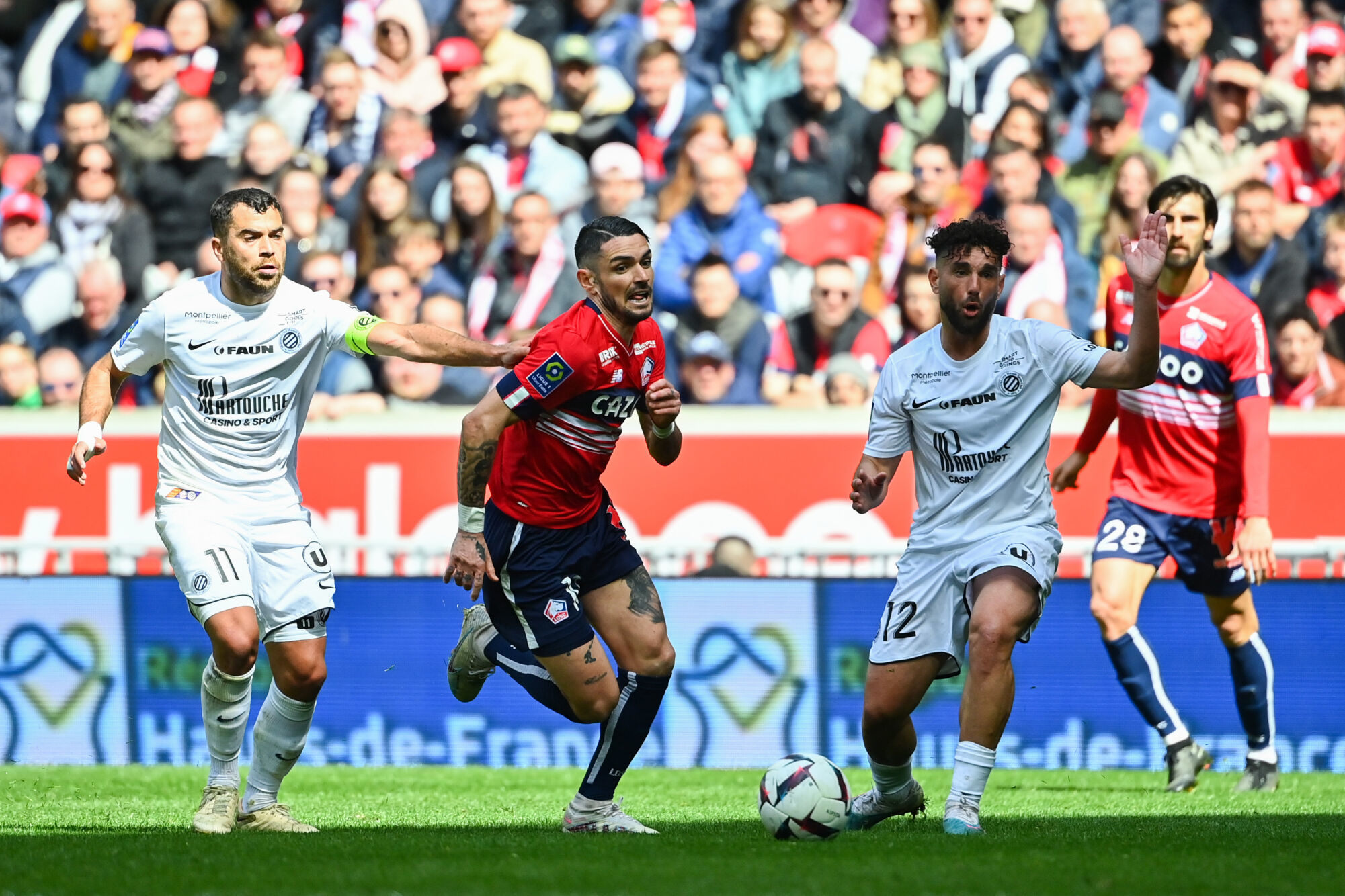 Losc [montpellier J4] Quelles Sont Les Clés Du Match