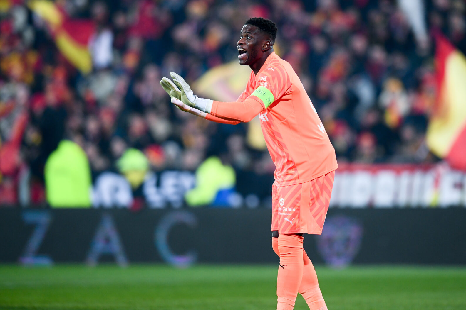 Brice Samba RC Lens