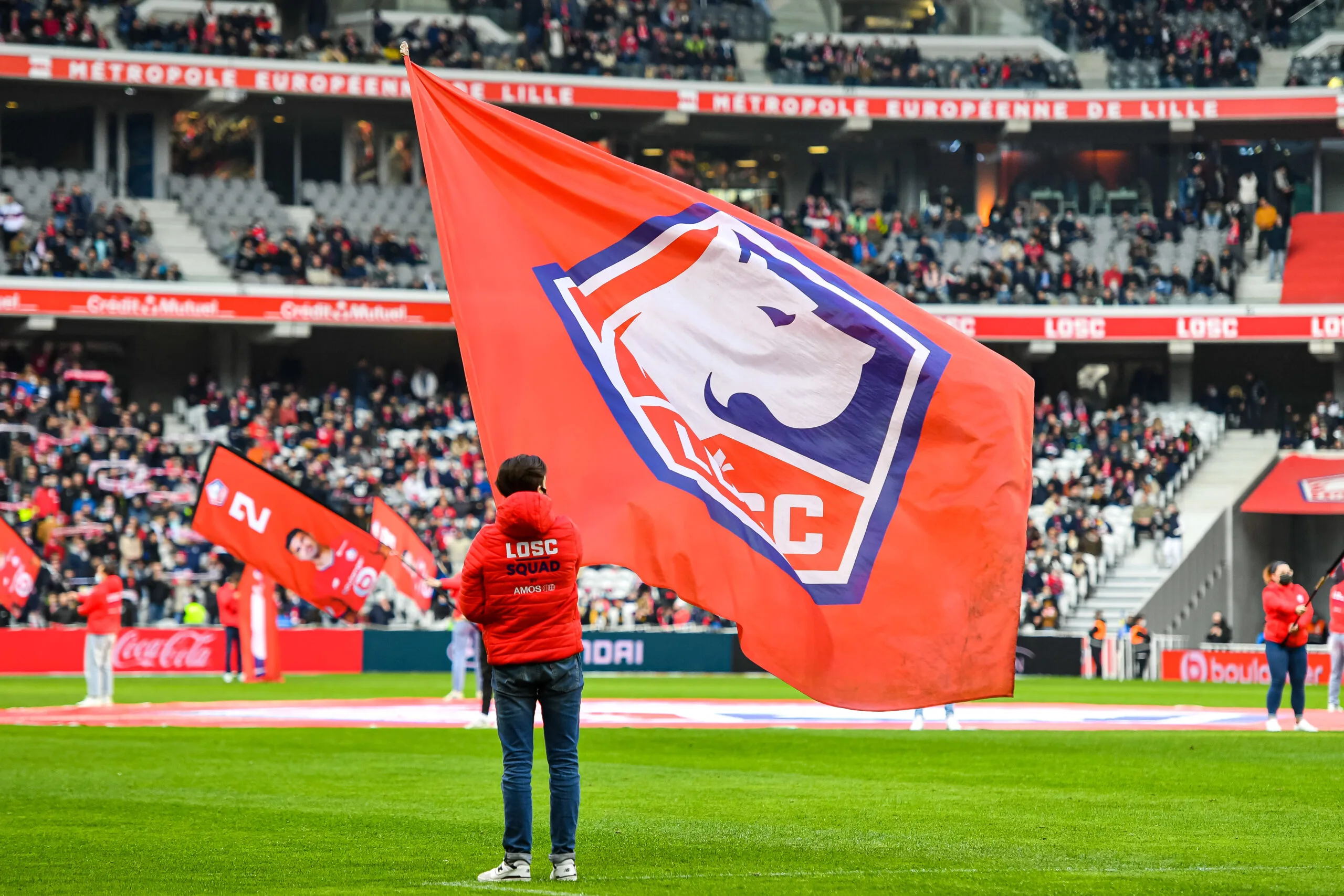 LOSC logo
