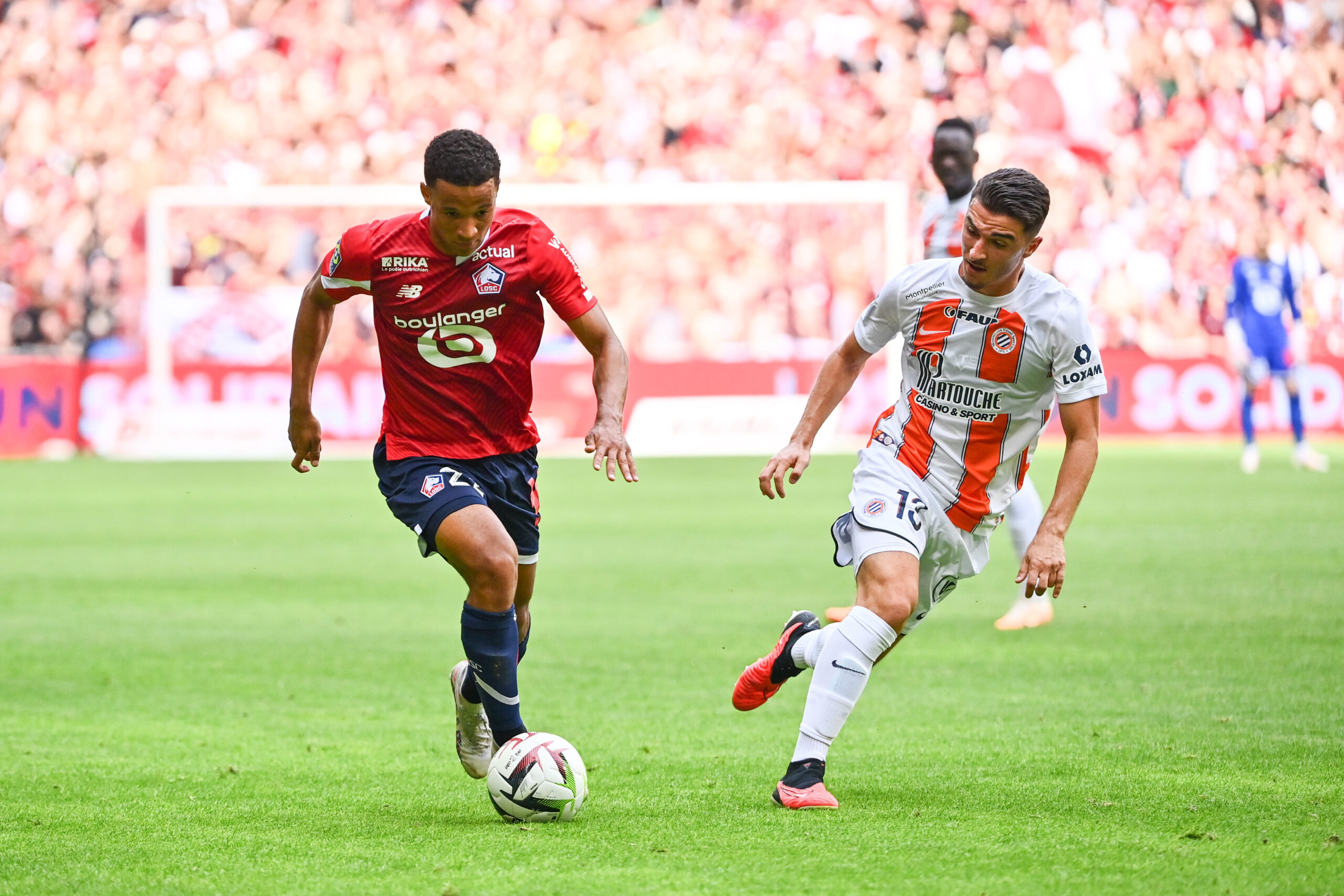 Montpellier - LOSC