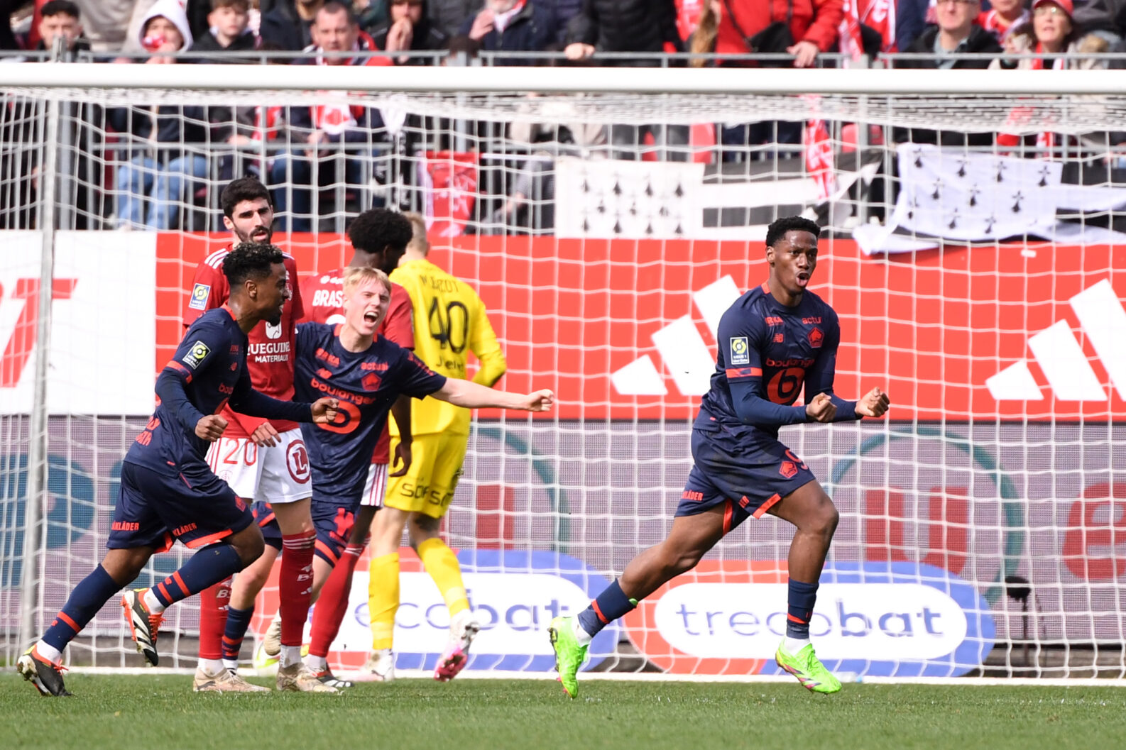 Jonathan David LOSC
