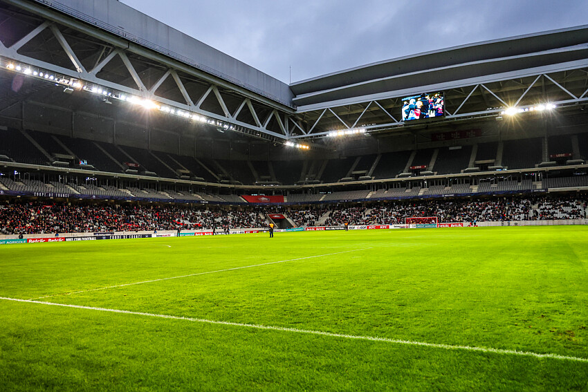 LOSC Pierre-Mauroy pelouse