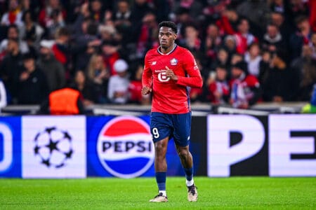 Jonathan David LOSC