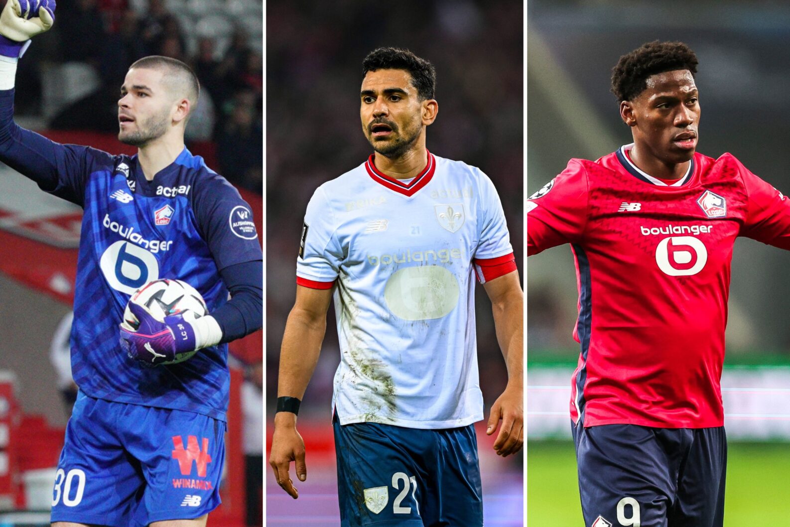 LOSC