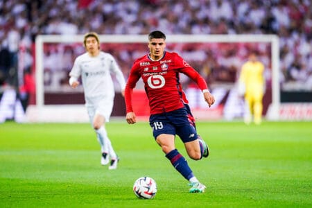 Matias Fernandez-Pardo LOSC