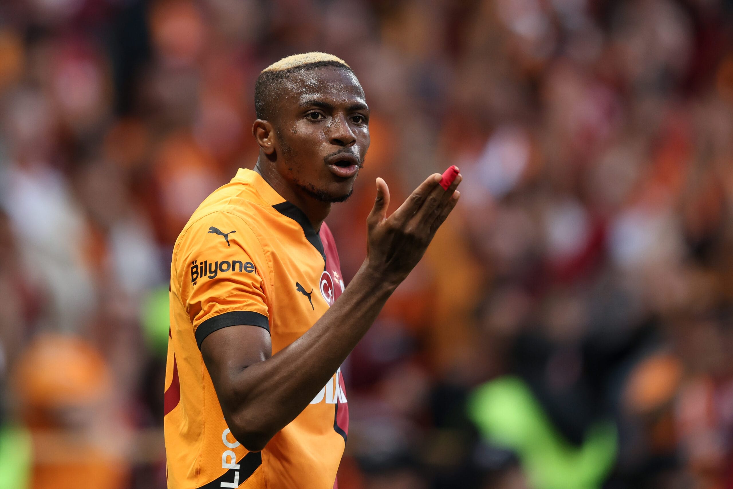 Victor Osimhen LOSC