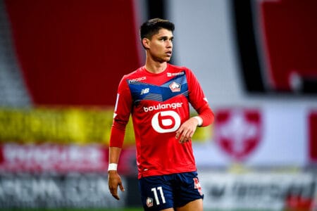 Luiz Araújo LOSC