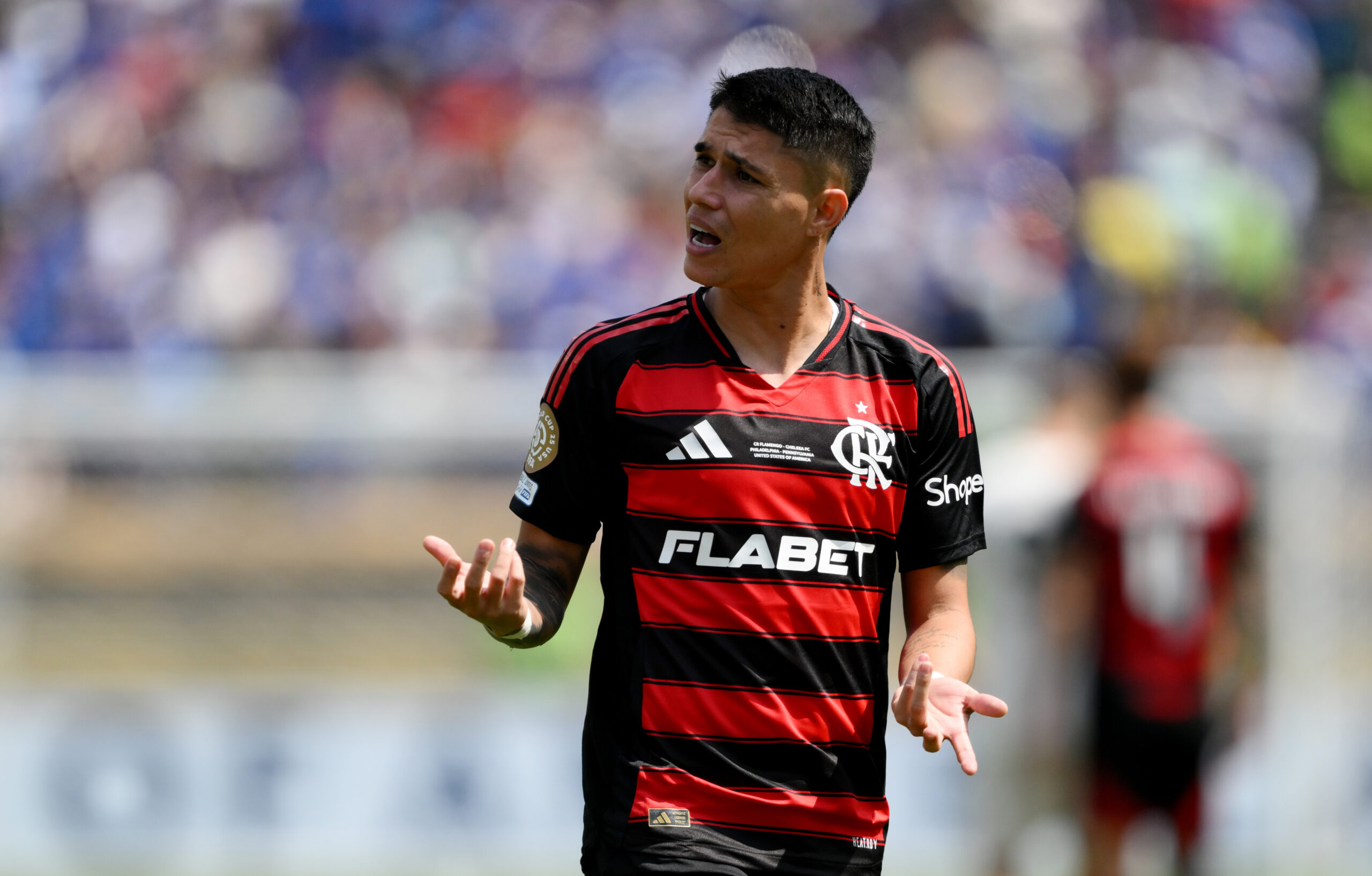 Luiz Araujo LOSC