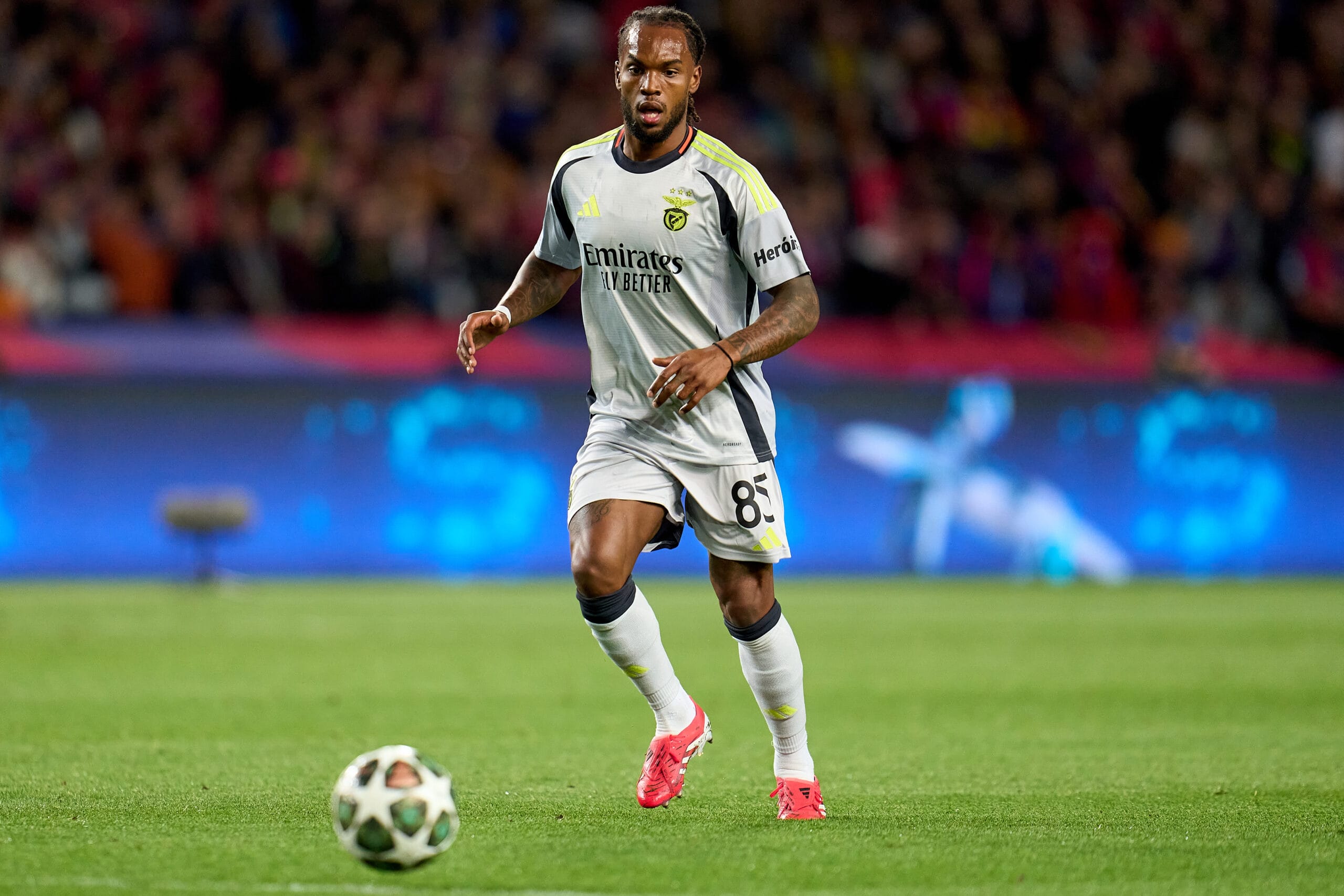 Renato Sanches LOSC
