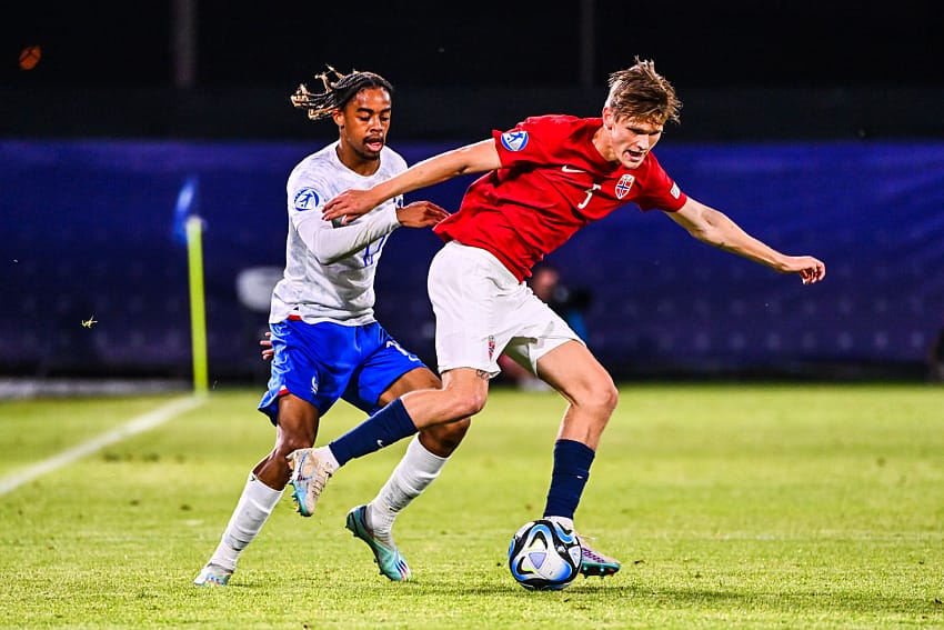 David Möller Wolfe LOSC