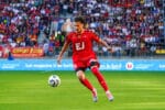 LOSC Vincent Burlet