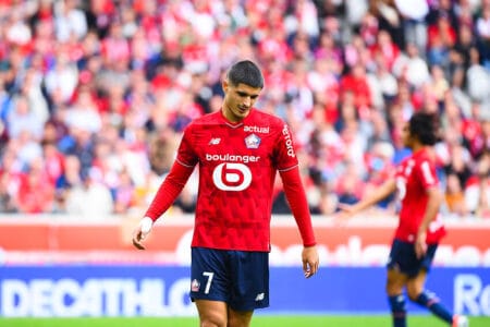 Matias Fernandez-Pardo LOSC