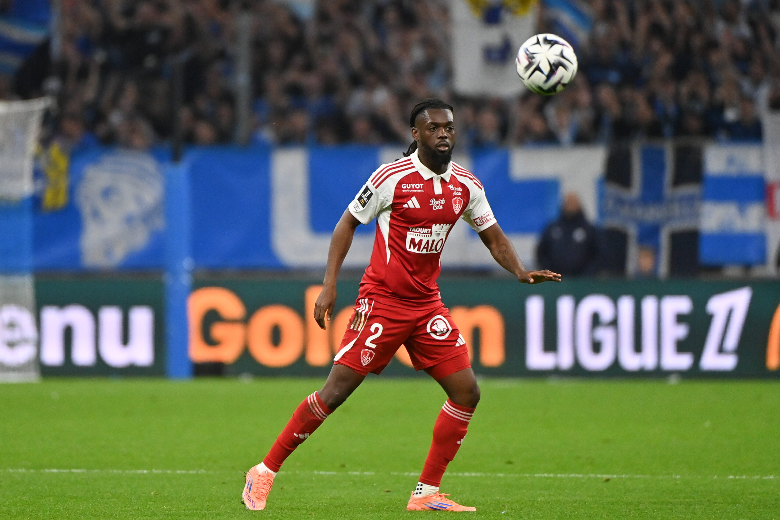 Bradley Locko Stade Brestois